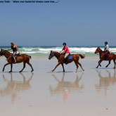 Gansbaai & Pearly Beach Horse Trails