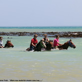 Gansbaai & Pearly Beach Horse Trails
