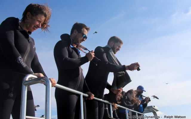 20181113_SF_Trip1_RWatson_IMG049_1542184863