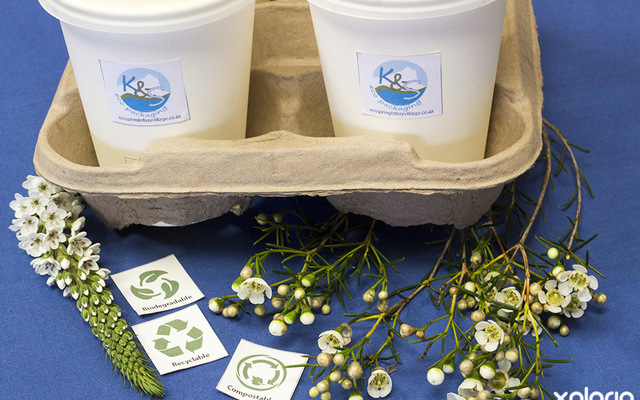 pringle_bay_businesses_k_and_s_eco_packaging_coffee_mugs_in_tray_eco_friendly_1535722910_1542269872 pringle_bay_businesses_k_and_s_eco_packaging_coffee_mugs_in_tray_eco_friendly_1535722910_1542269872