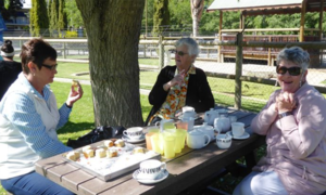 Seemeeu November 2018