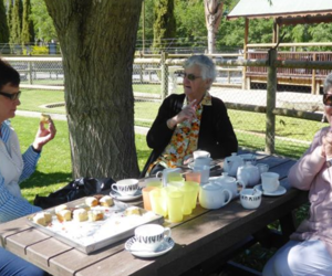 Seemeeu November 2018