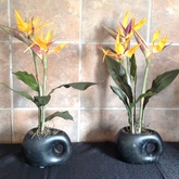 Potted Silk Flowers - Stralitzia