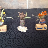 Souvenirs from the fields