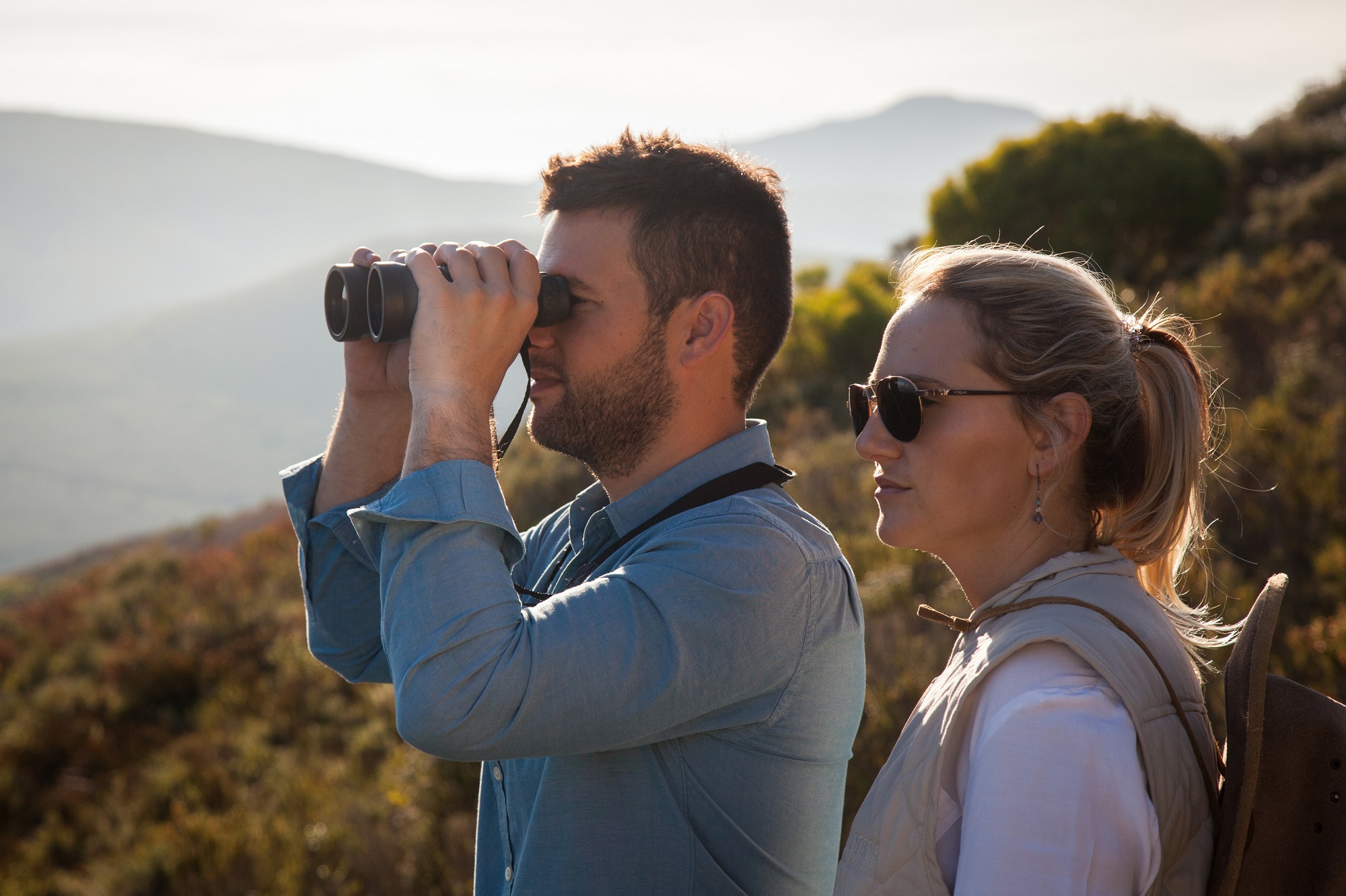 Bird watching in Gansbaai