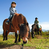 Family Pony Riding - Grootbos Private Nature Reserve - Xplorio™ Gansbaai 