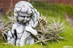 napier_funerla_services_njr_begrafnisdienste_garden_angel_1544605870