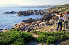 web_grootbos_experience_whale_watching_land_01_1636609043