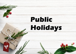 Public Holidays