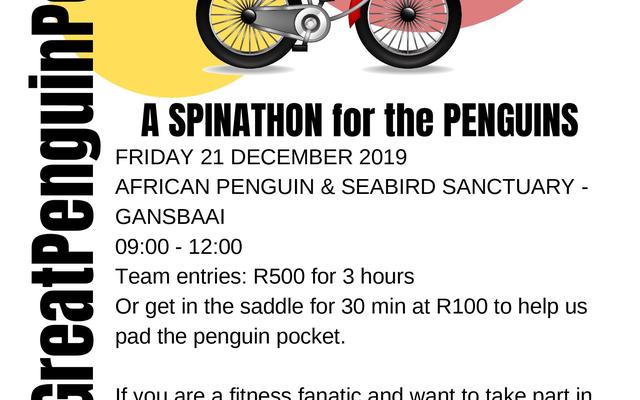 _GreatPenguinPeddle_1_page_001_1545122116