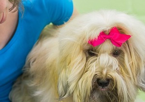 Closed for the holidays from 21 December!