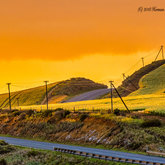 Herman van Bon Photography