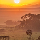 Herman van Bon Photography