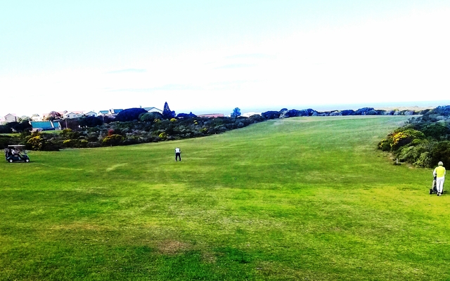 Golf Butterfly day 5 Jan 