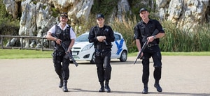 Happy Festive Season and New Year!