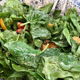 Brian's Kitchen Pop-Ups