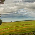 Herman von Bon Photography - Napier Herman von Bon Photography - Napier