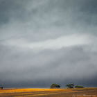 Herman von Bon Photography - Napier Herman von Bon Photography - Napier