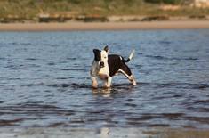 49816863_1973815799404922_1293269546802610176_n_1547038251