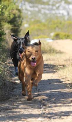 49645494_1974981022621733_5882767772768796672_n_1547038284