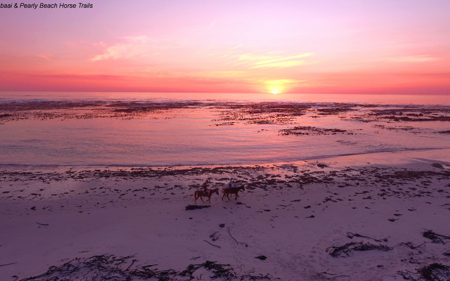 Gansbaai & Pearly Beach Horse Trails