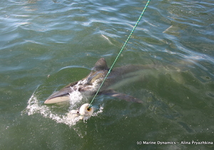 Daily Blog 11 January 2019