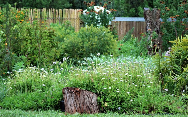 img_0943_orig_1547618810