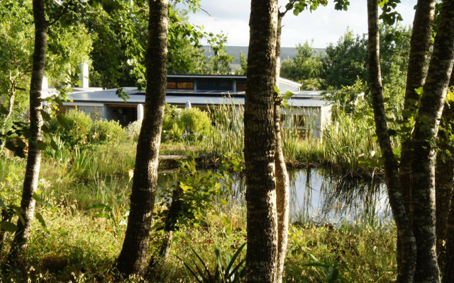 lokal_image_1548080697