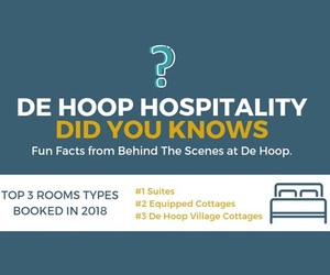 Looking Back on 2018!