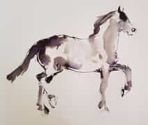 Jenny Jackson's Gallery 19