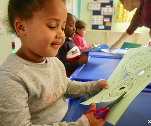 Pikkewyntjies 2019 Funding Challenge