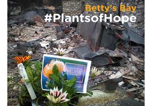 Betty's Bay #PlantsofHope