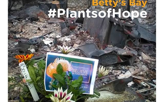 51362344_10156143478420687_4495472952246009856_n_1549348707