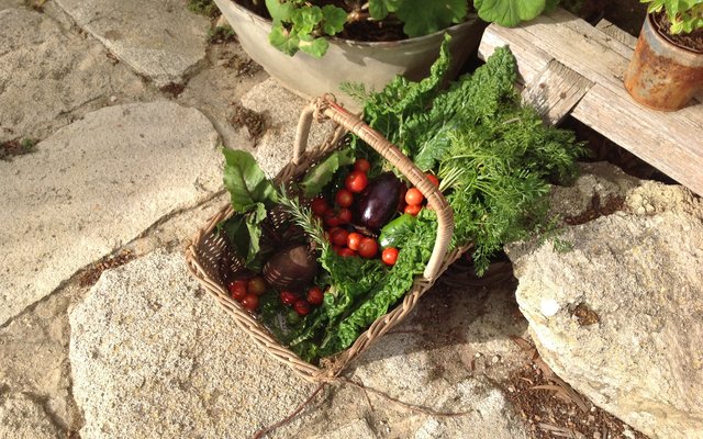 30051640_1870949969606587_8238663695606066244_o_1549364618