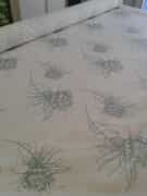 New Protea Design @ Gertie's Legacy