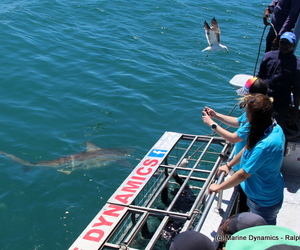 Daily Blog 05 February 2019