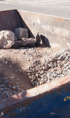 struisbaai_charlies_transport_movers_skip_dirt_1549616351