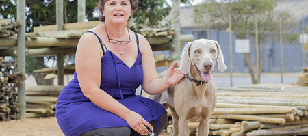 bredasdorp_building_construction_fynbos_pole_depot_owner_1551170385