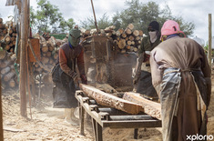 napier_building_construction_fynbos_pole_depot_cutting_wood_1551171162