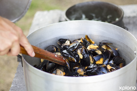 hermanus_restaurant_de_vette_mossel_messels_in_shell_1551175344