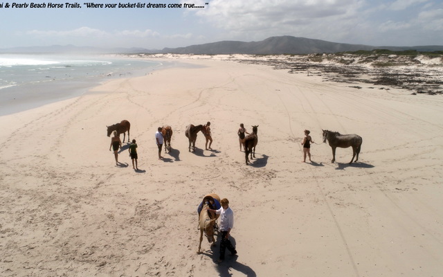 Gansbaai & Pearly Beach Horse Trails