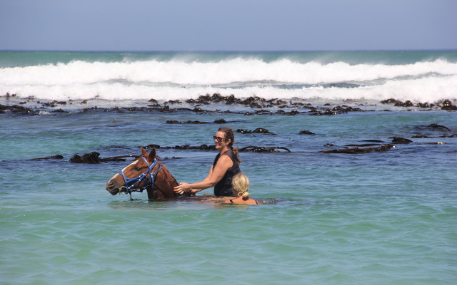 Gansbaai & Pearly Beach Horse Trails