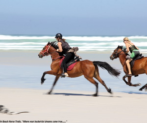 Latest TripAdvisor Review