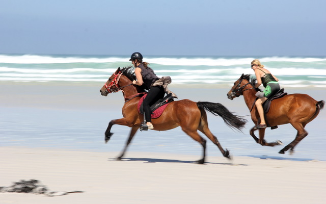 Gansbaai & Pearly Beach Horse Trails