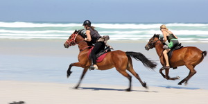 Gansbaai & Pearly Beach Horse Trails