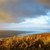 Lloyd Koppel Videographer