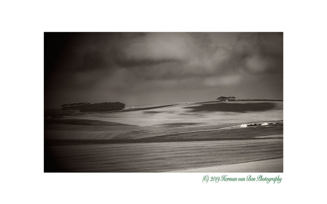 Overberg Landscape in B&W