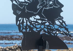 Beauty of the Overberg