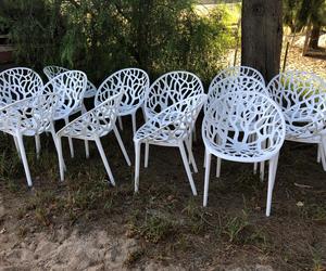Coated Chairs Before & After