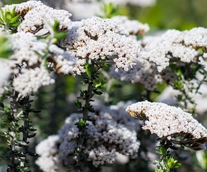 Garden Creation By Ashley Banwell